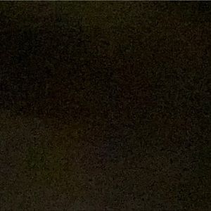 Meet your Posher, Shane